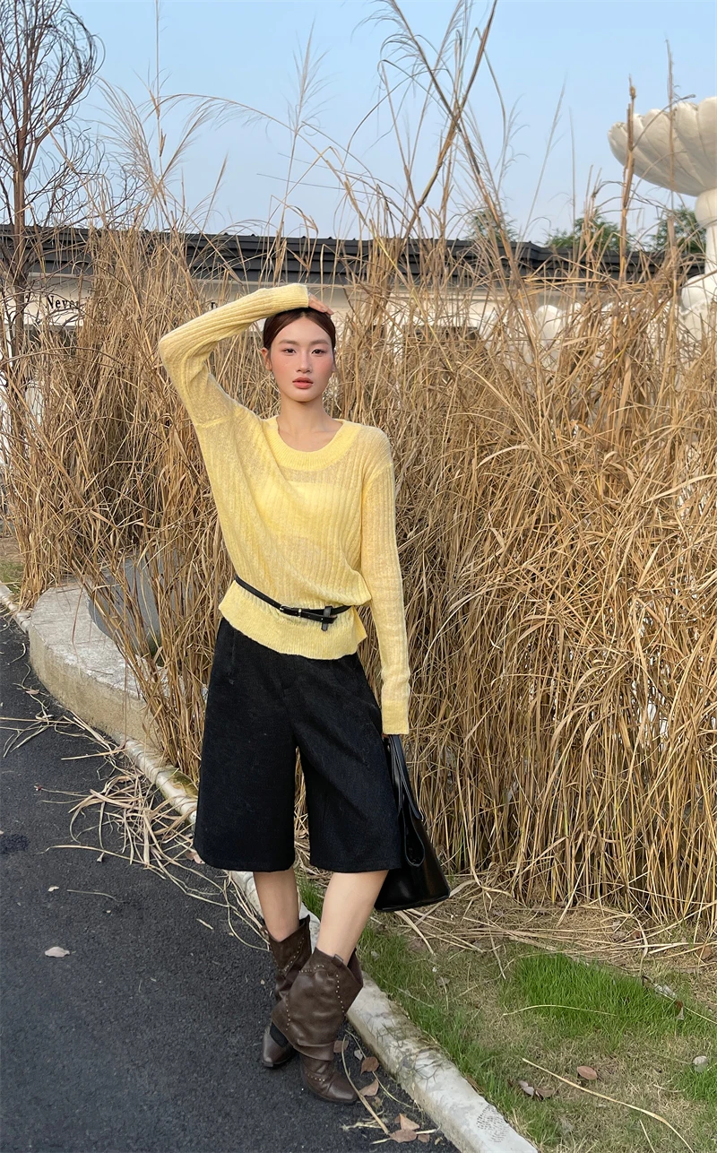 

Women's Slim Fit Woolen Sweater Basic Long Sleeve round Neck Spring Autumn Solid Color Casual Thin Design Comfortable Top