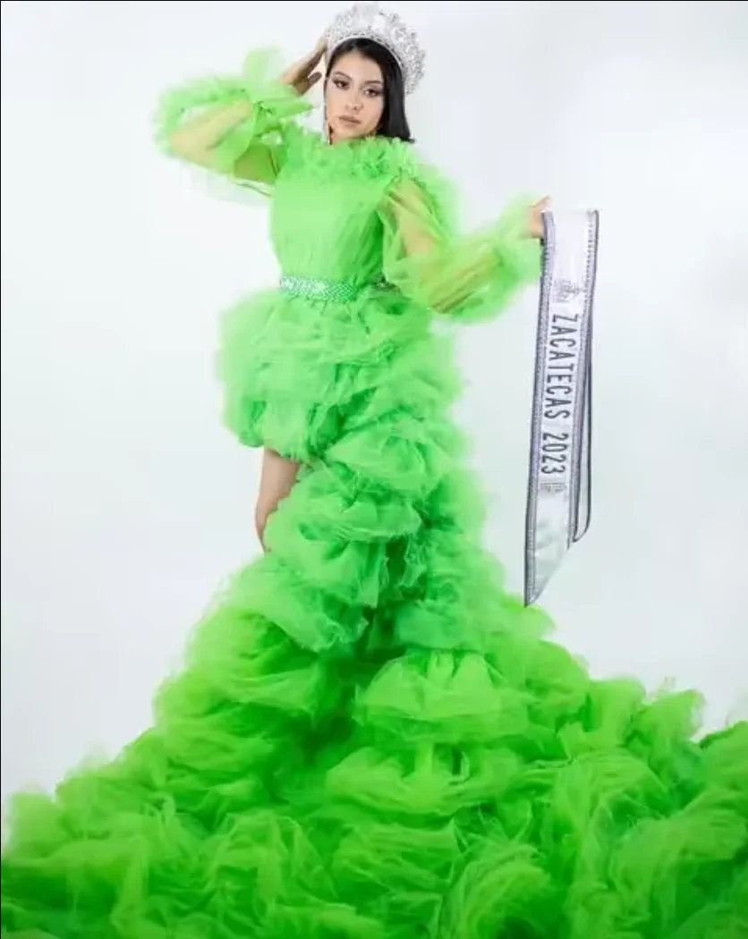 

custom Green Layered Tulle High Low Evening Dresses With Ruffles Trimmed Details See Thru Full Sleeves Long Formal Party Dress