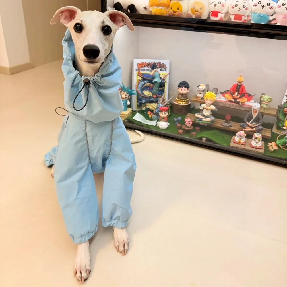 Frühling Sommer Blauer Regenmantel für Italienische Windhunde Winddichte Wasserdichte Jacke mit Rotem Reißverschluss für Whippets Reflektierender Streifenmantel – Detail 8