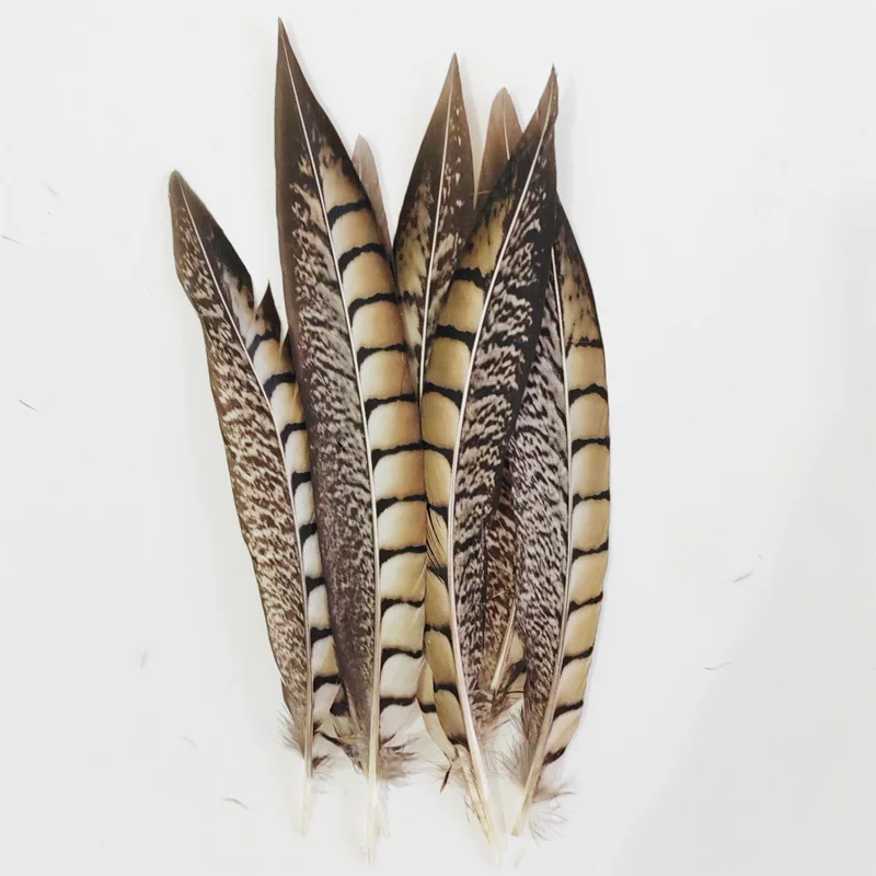 10/50Pcs/Lot!10-40cm Lady Amherst Pheasant Tail Feathers Wholesale Loose Feathers DIY Jewelry Stage Performances Decoration