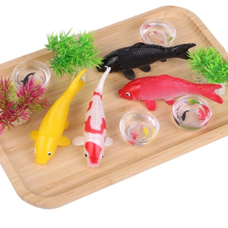 Miniature Koi Fish …