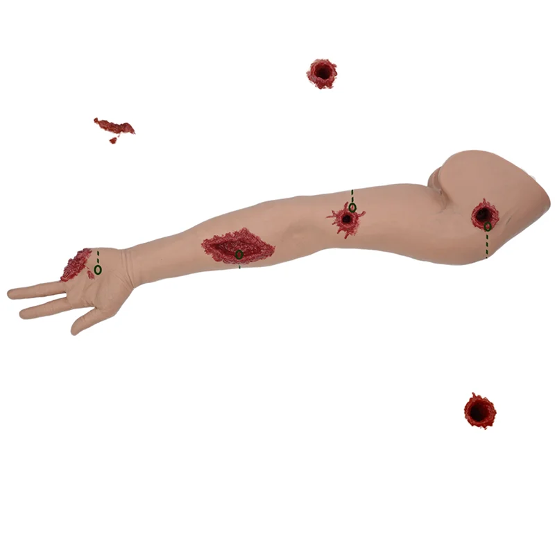 Medical Science Tourniquet Training Arm Trainer PVC Wound Packing Model With Tourniquet