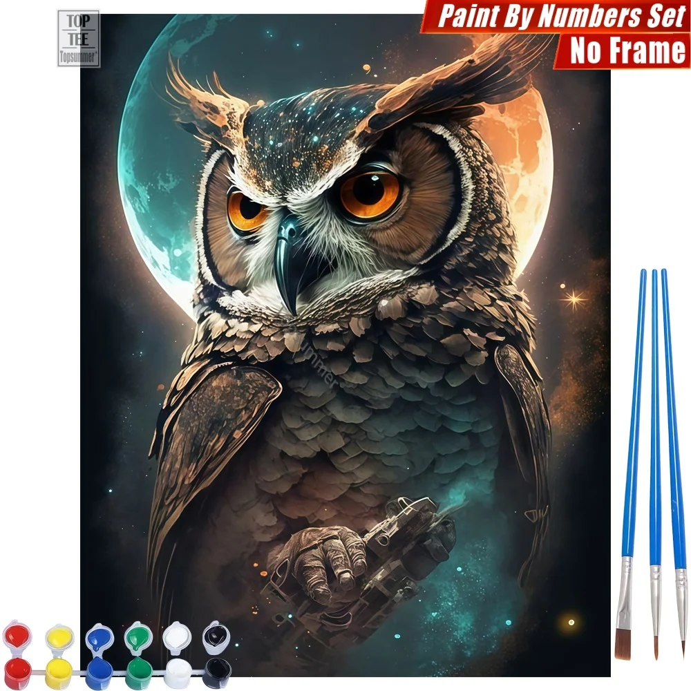 

Owl Full Moon Paint By Numbers Kit - Owl Moon Feathers Quality Family Time Easter Gift For Woman
