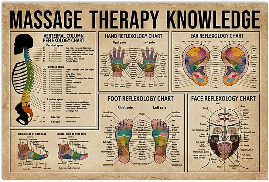 f1,Massage Therapy Knowledge Metal Tin Signs Massage Therapy Information Retro Poster Popular Science Educational Charts Wall Pl