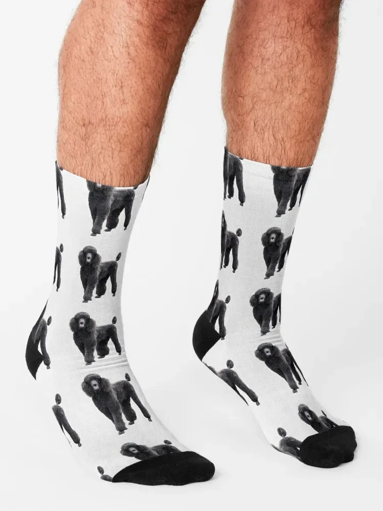 Poodle-calcetines de compresión retro Para hombre y mujer, medias de color negro, elegantes, de estilo retro, para verano