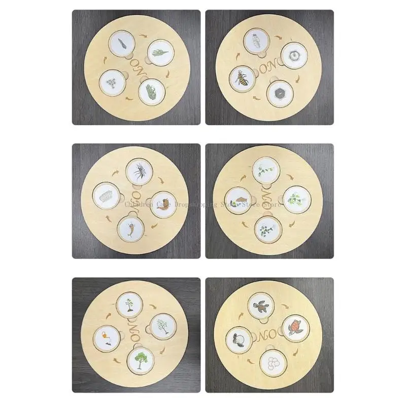 Biological Life Growing Boards Boards พ่อแม่กิจกรรมเด็กกิจกรรมการศึกษาปฐมวัยของเล่น