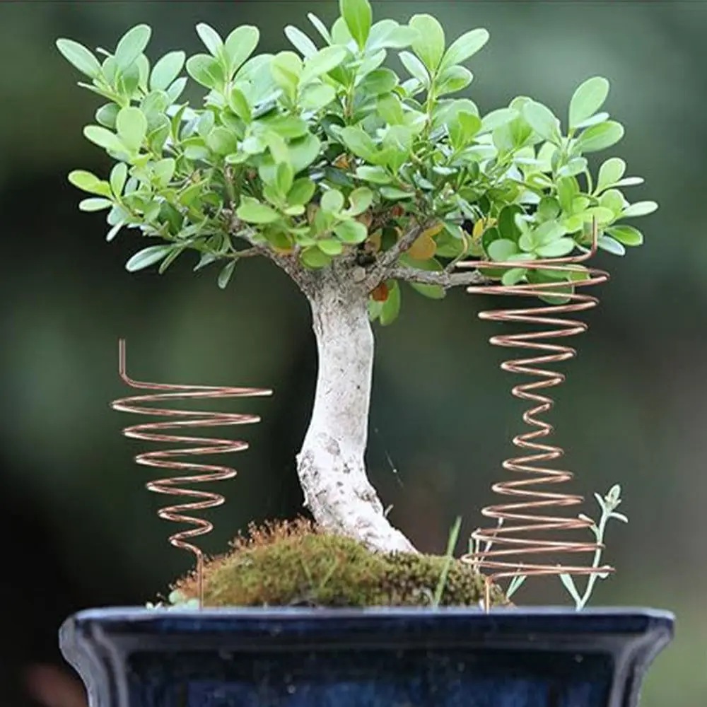 

Reusable Cone Fibonacci Coil Winding Jig Smooth Sturdy Copper Wire Antenna Jig Multifunctional Gardening Wire Fixture