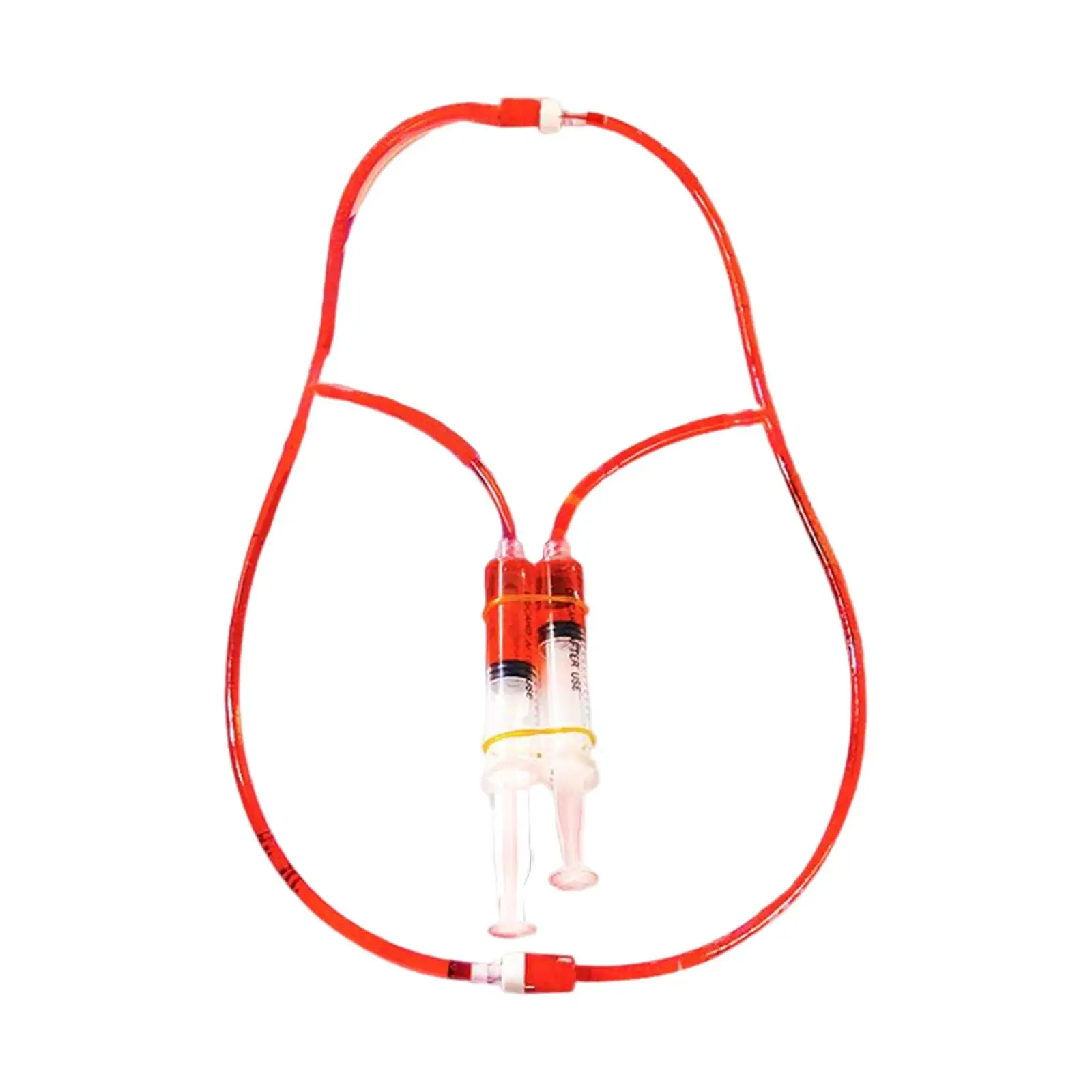 Interactive Human Heart Model Science Toy for Kids 7 to 10 Years Old Learning Pumping System