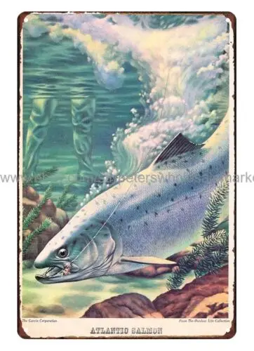 Atlantic Salmon Outdoor Life Garcia Art Fish metal tin sign metal plaque