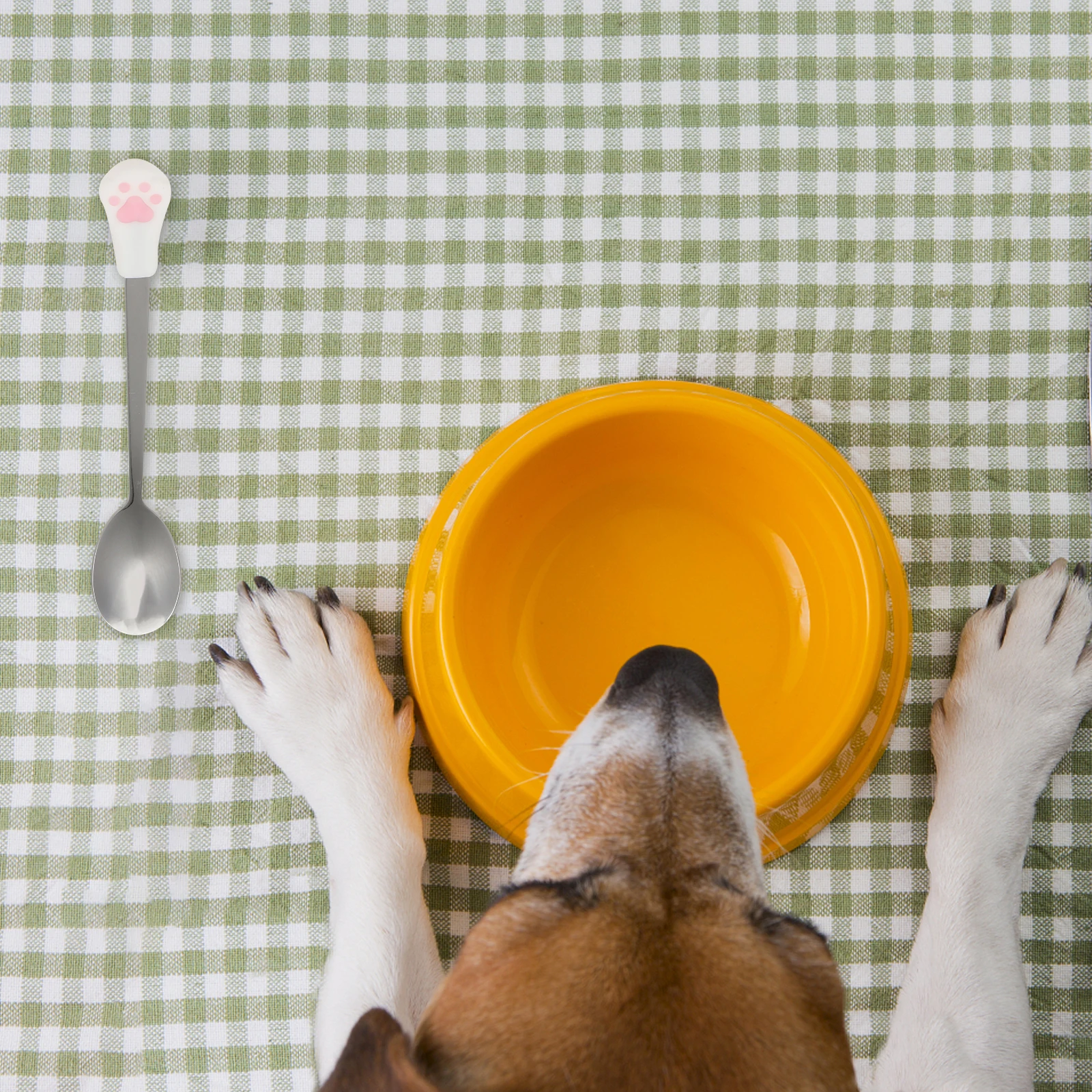 

4pcs Stainless Steel Pet Food Spoon Dog Cat Feeding Silicone Handle Kitten Can Snack Spoons Durable 304 Steel Easy Clean