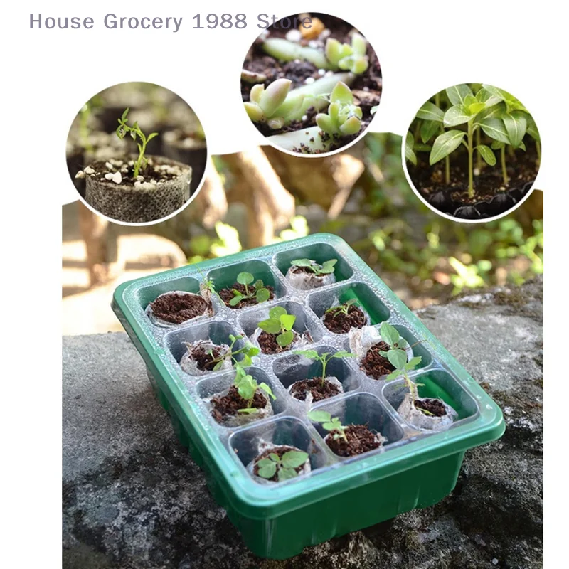 1 Pc 6/12 Holes Seedling Pot Succulent Propagation Tray Mini Greenhouse Succulent Sprouting Tray