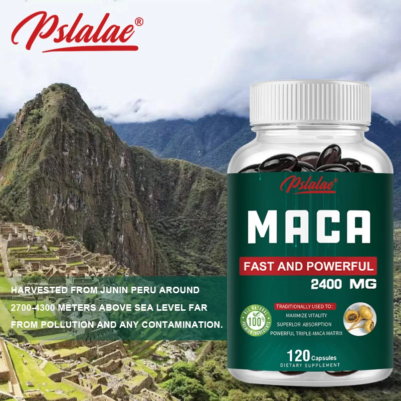 Organic Maca Root Powder Capsules - A Natural Energy Boost, Providing Positive Energy Levels and Increased Focus