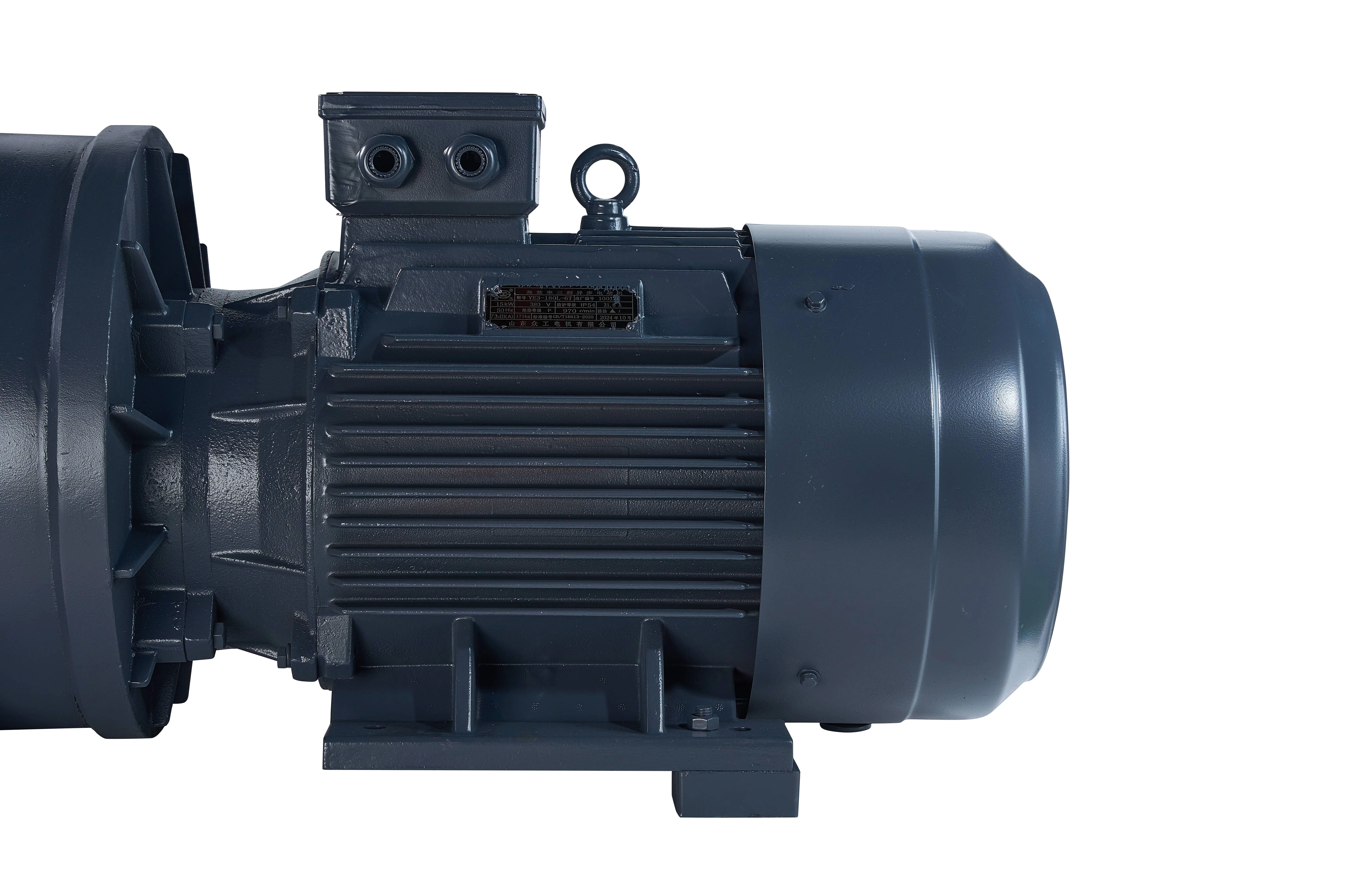 2025 Hot Sale Nuclear Facility 2BV Water Ring Pump for Radioactive Areas Lead-Shielded Containment Leak Prevention System