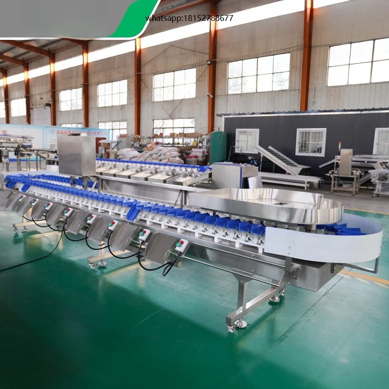 Orange Potato Automatic Fruit Live Fish Size Weight Sort Sorting Grading Grader Machine by System