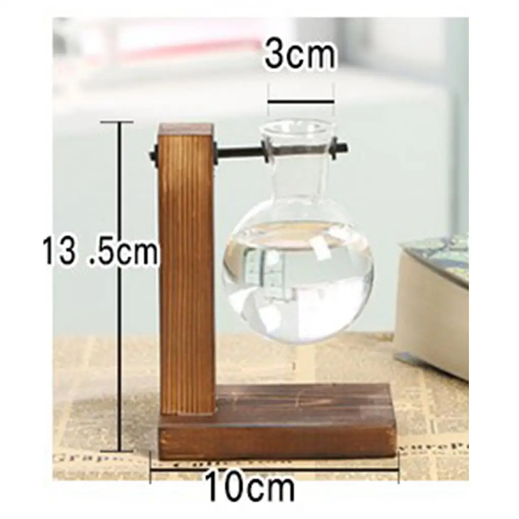 Hydroponic Vase Mini Glass Test Tube Wooden Stand Planter for Decorative Indoor Plant Arrangement