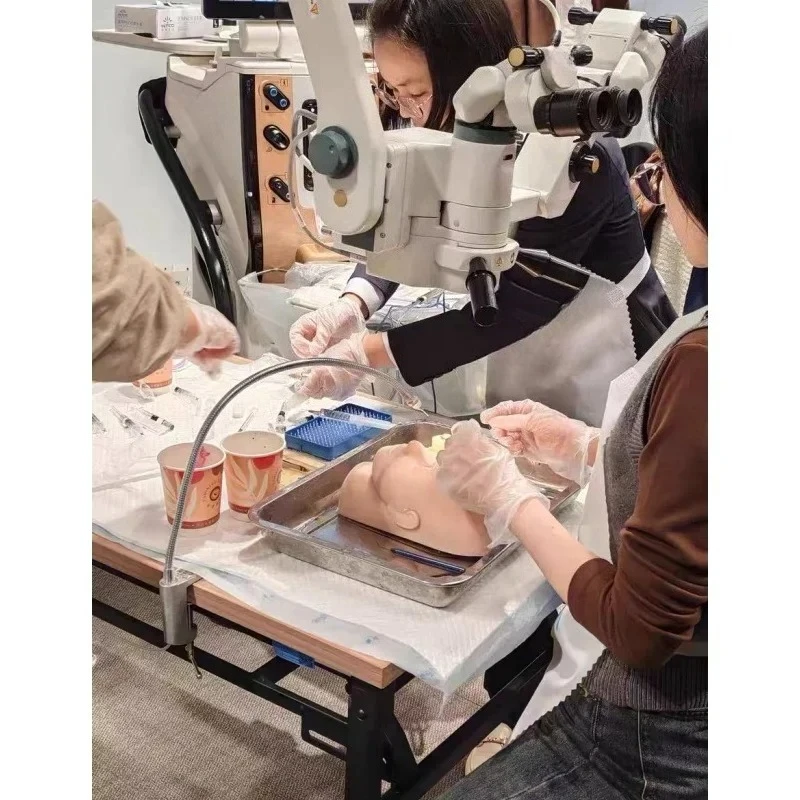 Ophthalmic Head Simulation Practice Model 1PcsOphthalmic Capsulorhexis Model  for Cataract Capsulorhexis Pig Eye Practice Model