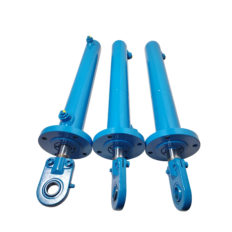 Hydraulic Cylinder 40/25*300, Double Acting, Heavy Duty Construction Equipment Parts, 1 Year Warranty