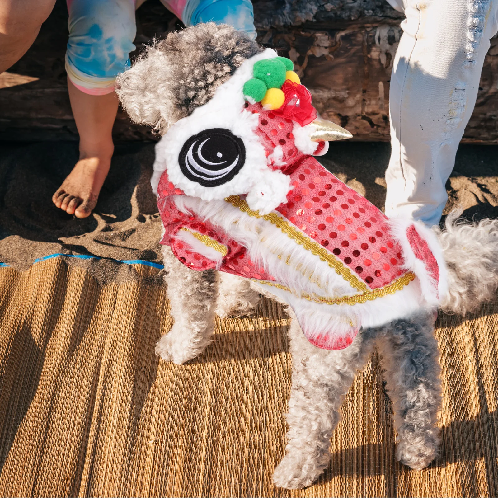 

Dog Dance Lion Costume Set Polyester New Year Clothes for Pet Puppy Apparel Holiday Party Supply Premium Material Comfortable