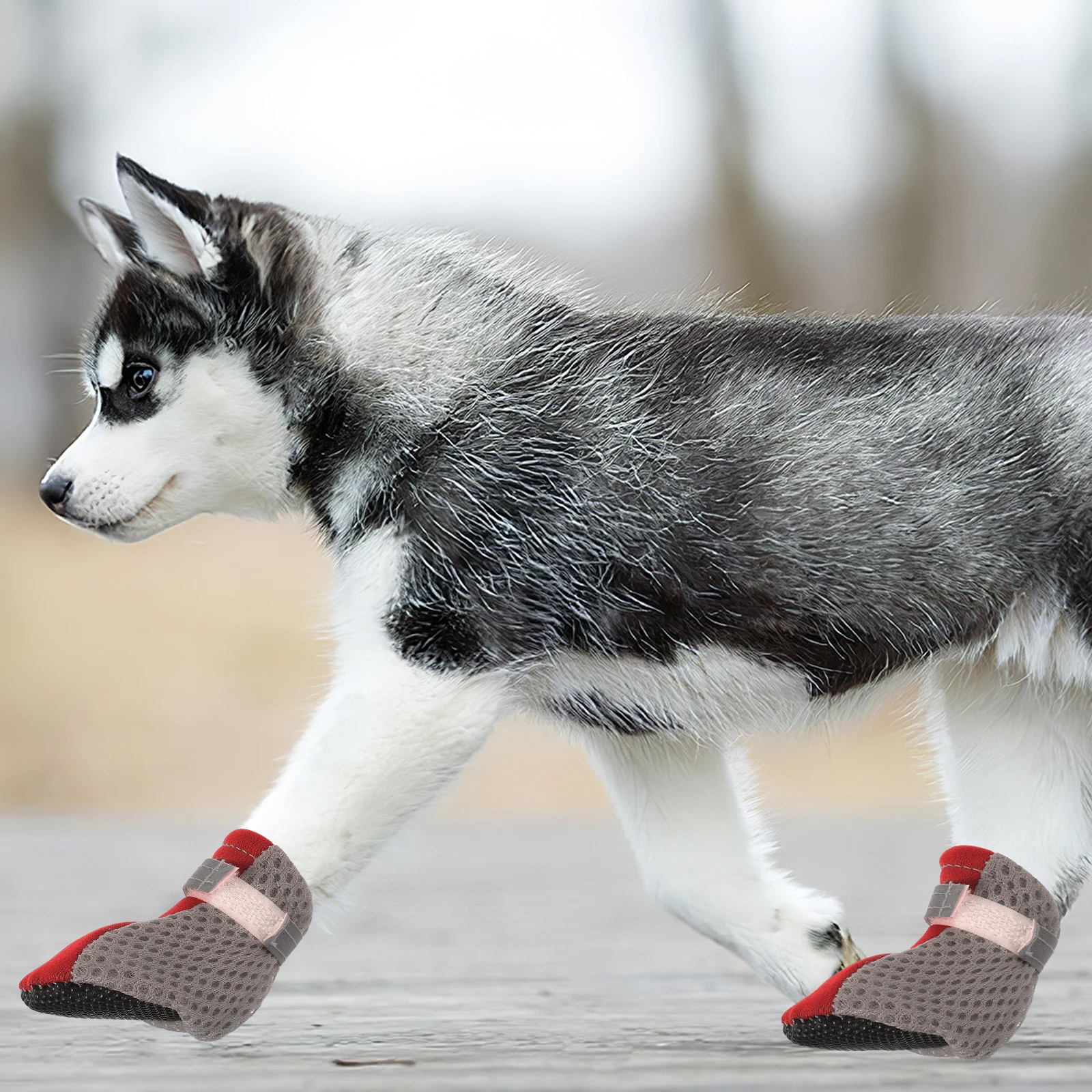 

4pcs Mesh Dog Shoes For Small Dogs Breathable Non-Slip Pet Shoes Outdoor Indoor Protective Puppy Footwear Paw Protector