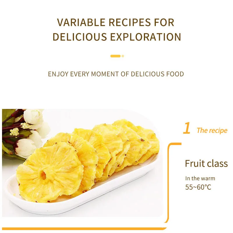 Séchoir de déshydratation des aliments et des fruits, grande capacité, cadre de séchage à faible bruit