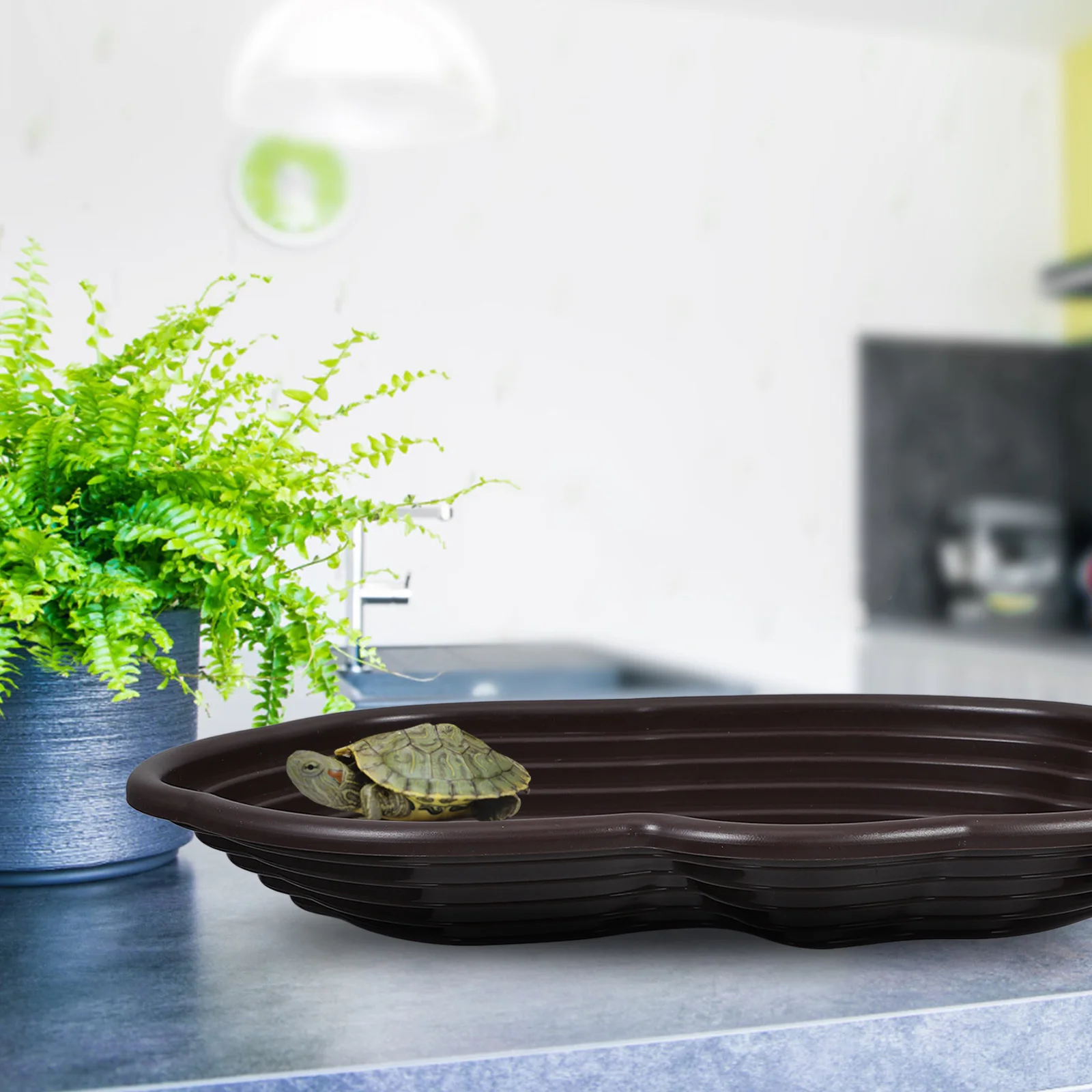 كبير السلاحف حوض الاستحمام الزواحف وعاء الماء السلحفاة الفرح منصة طبق التغذية تمرغ بركة منحدر خزان ديكور الحيوانات الأليفة #5