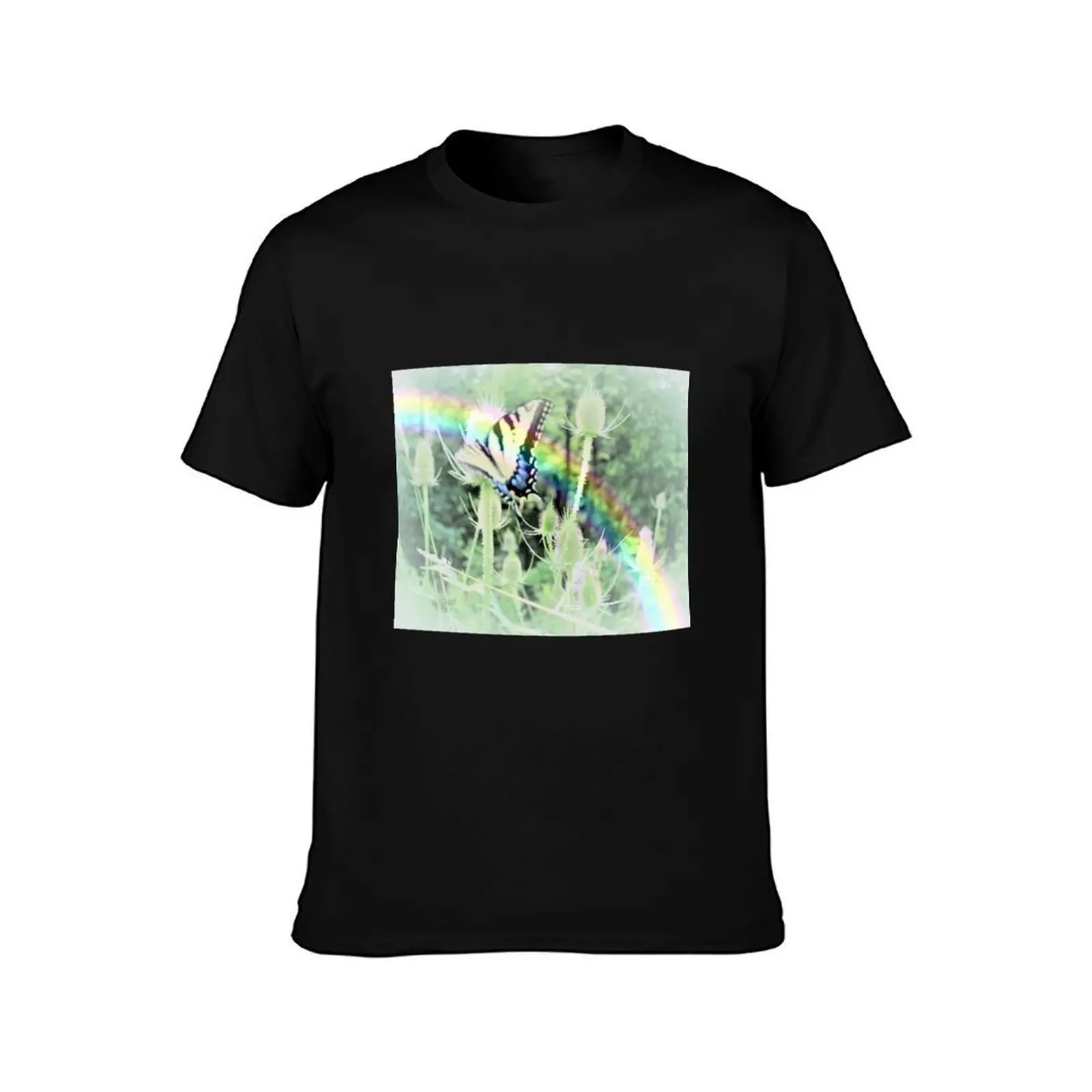 Swallowtail and Rainbow T-Shirt Sports Basic Short Sleeve T-Shirt