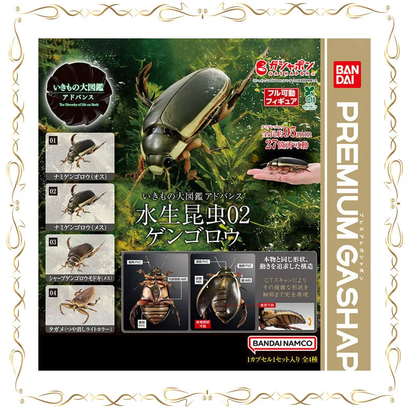 Bandai Gachapon Biology Illustrated Handbook Cybister Japonicus Kirkaldyia Deyrollei Simulation Insect Collectible Model Toy