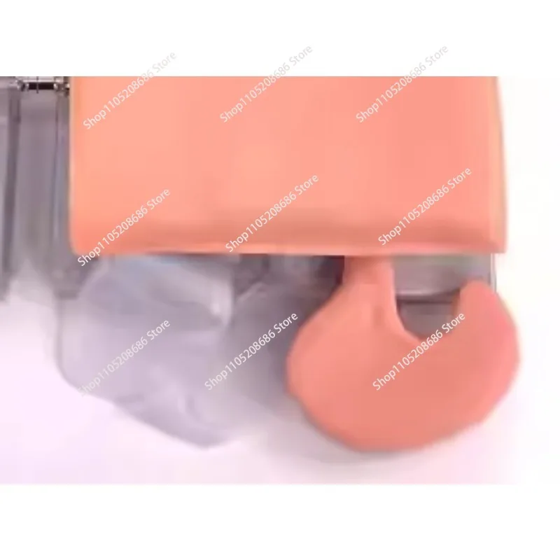 Teaching Model Human Body Electronic Endotracheal Intubation Simulation Airway With Teeth Pressure Equipment