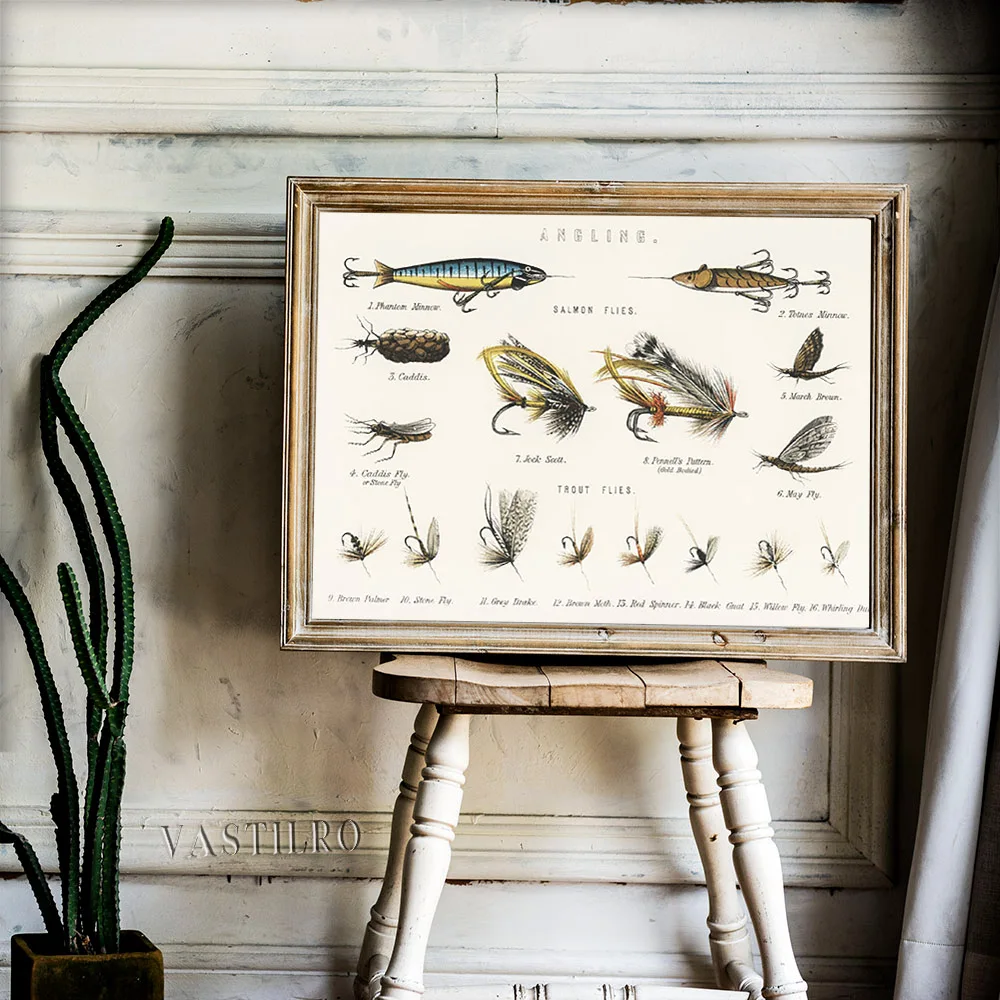 British Fresh Water Fish Angling Baits Antique Illustration Vintage Print Art Poster Animal Canvas Painting Wall Picture Decor