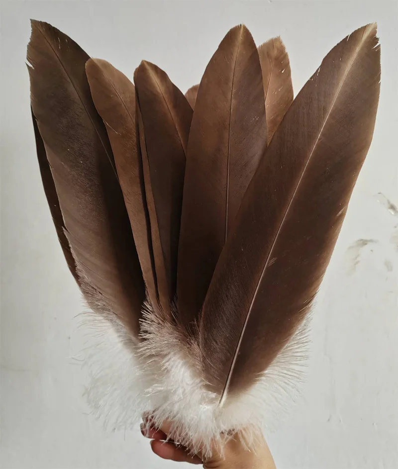

10Pcs 35-45CM Beautiful Natural Eagle Plumage Rare Large Bird Hawk Feathers Celebration Clothing Decoration