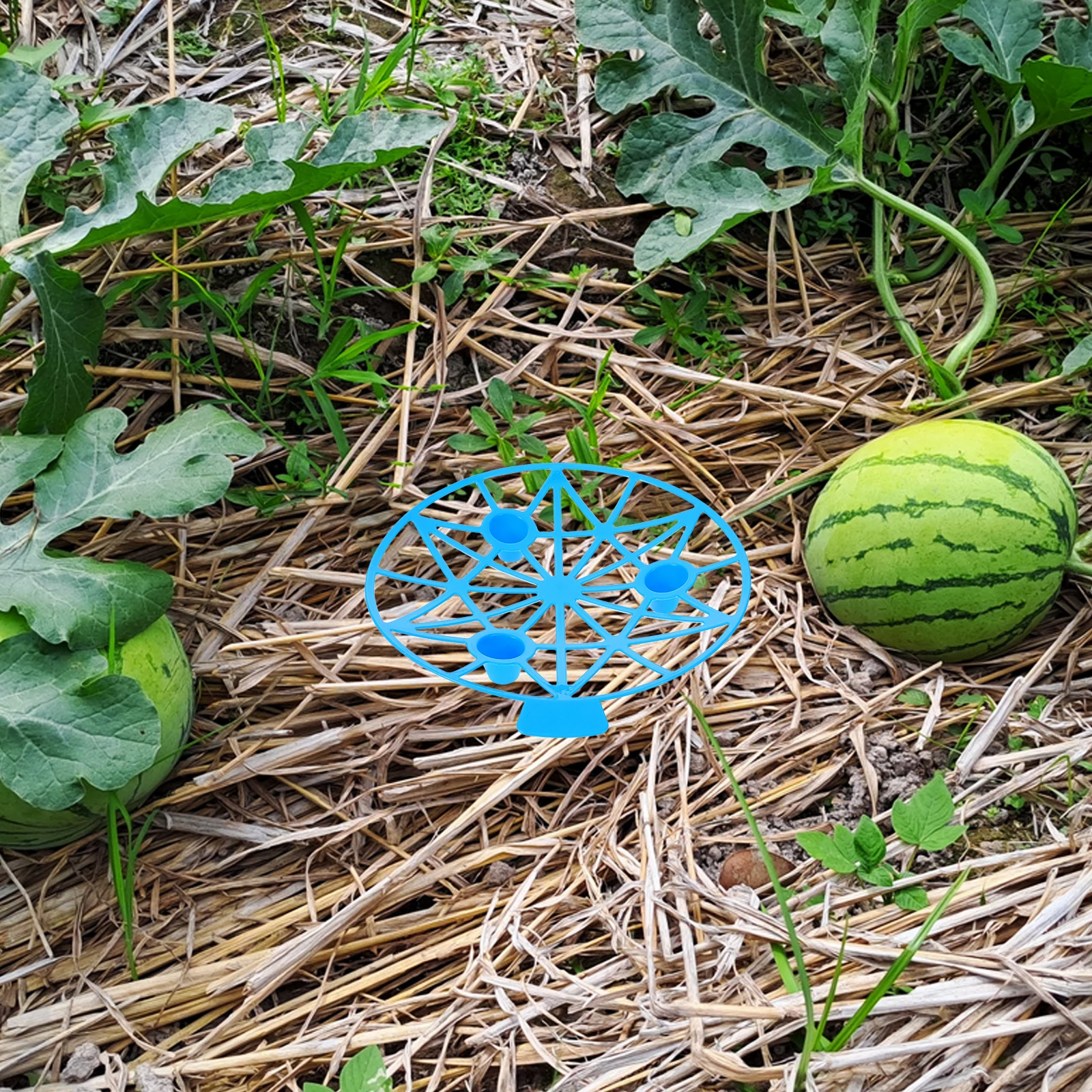 

10pcs Watermelon Trellis Stand Fruit Tray Rack Holders Garden Support Planting Container Durable Plastic Safe Reliable Wide