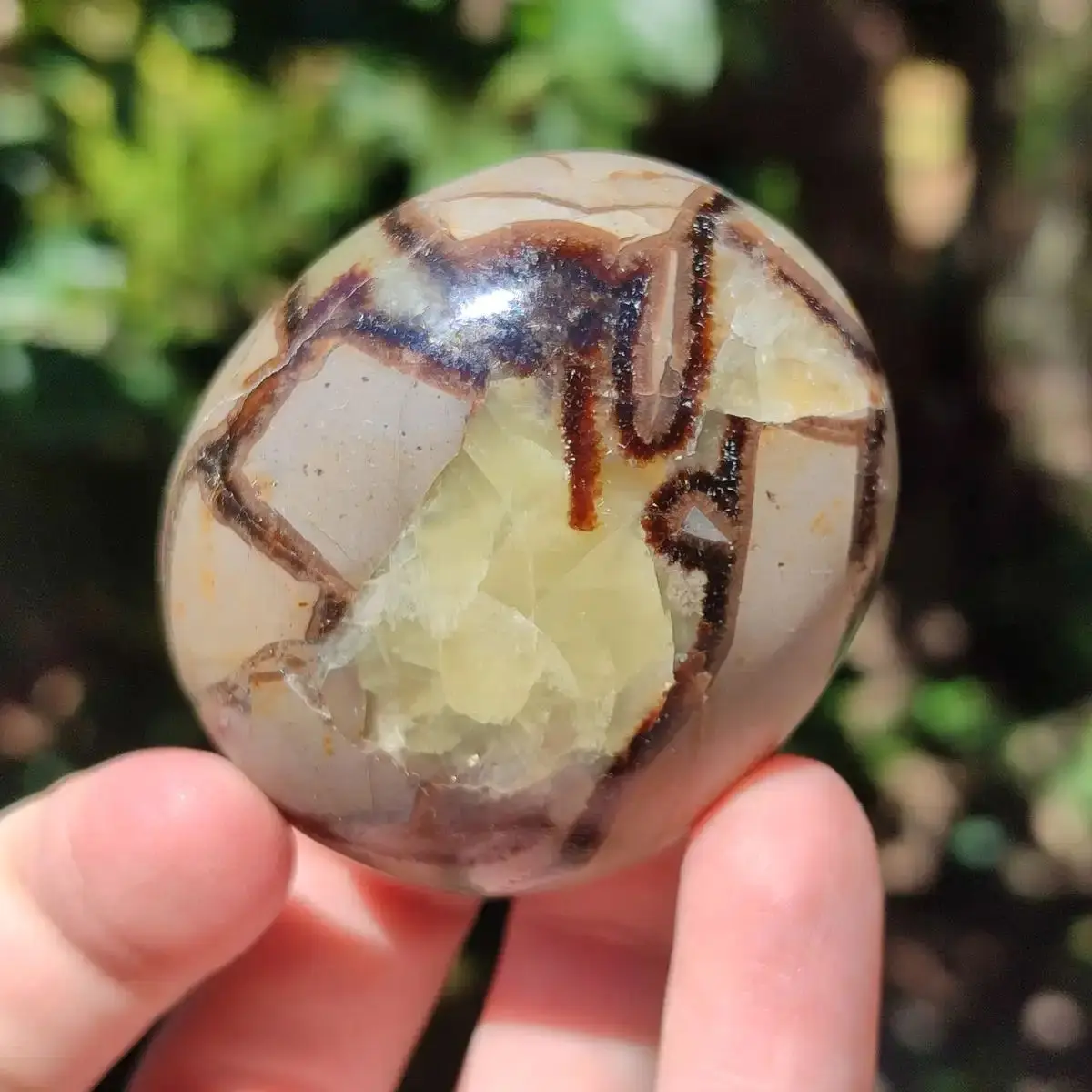 1pc Septaria Palm Stone Worry Stone Beautiful Orca Agate Crystal Crystal Gift Crystal Gift, Pick Your Septaria Palm