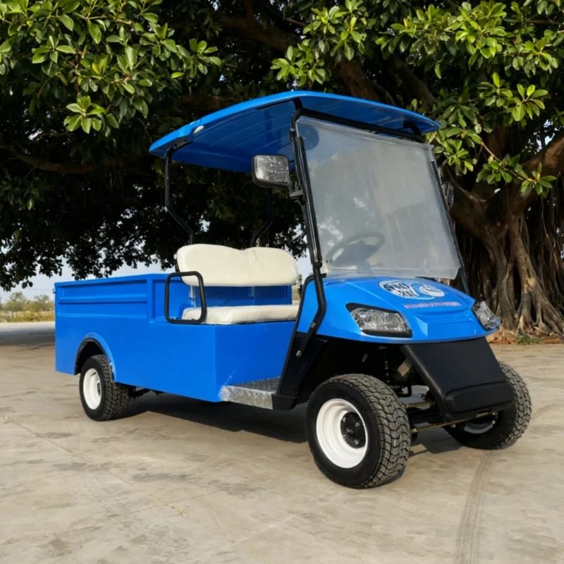 جديد بطارية تعمل بالطاقة الكبار عربة جولف كهربائية MacPherson تعليق 2 الركاب عربة شحن كهربائية قابلة للطي مع صندوق البضائع الخلفي
