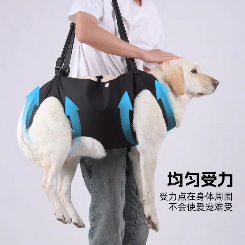Pet assistance belt, elderly dog, disabled dog rehabilitation travel chest and back adjustable leash