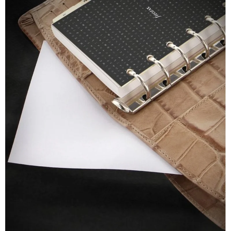 A+ Filofax A6 Personal Classic Croc Organizer Planner Diary Fawn Leather-026012 # ب9