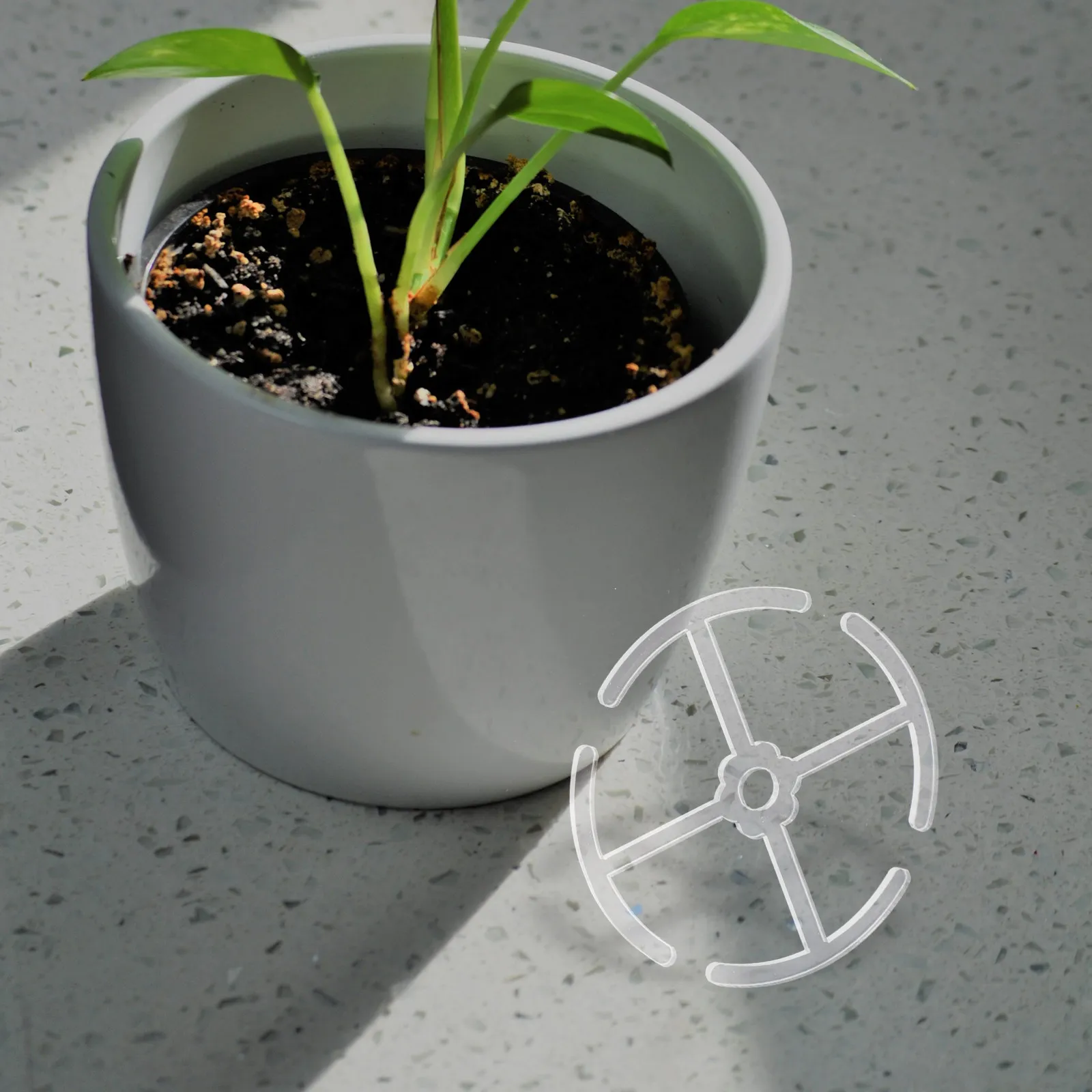 4Pcs Acrylic Plant Stem Holder Indoor Climbing Support for Bonsai Floral Stems Flowerpot Yard Garden Space Saving Fix Rack