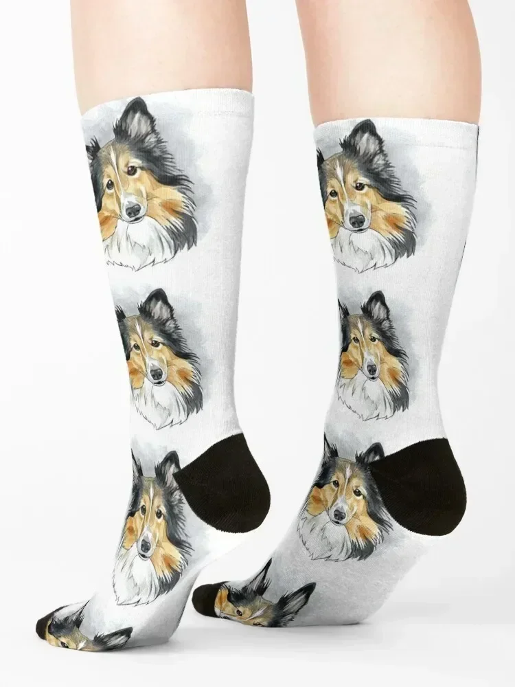 0213(2) Socks set gift christmass gift Men's Luxury Woman Socks Men's