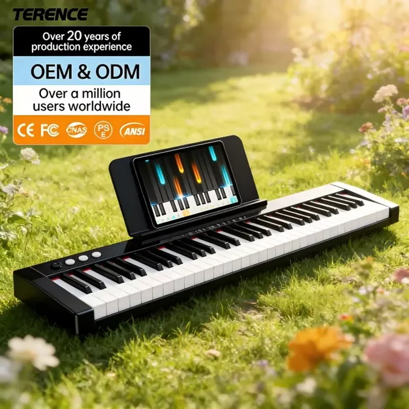 Portable 61-key TS-01 Electric Keyboard Piano for Beginners for Home Custom ABS Electronic Keyboard 5 Cartons OEM Color 128