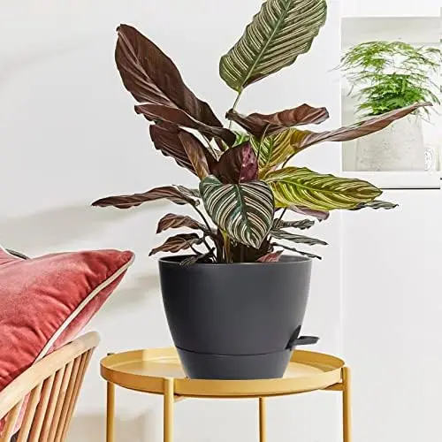 Plantadores com rega automática de 10 polegadas, pacote com 2, pretos