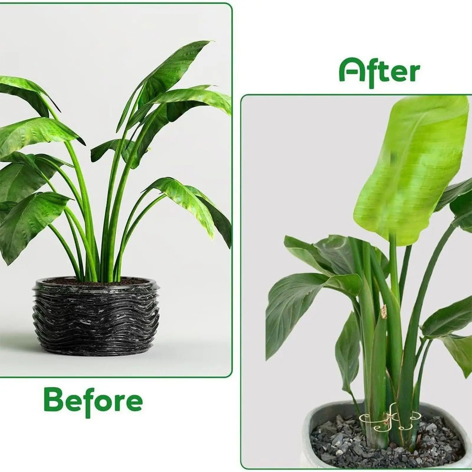 Plant Support Reusable Monstera Stem Support Reusable Stabilizer For Monstera Bonsai Indoor Outdoor Garden 6 Pieces Plant
