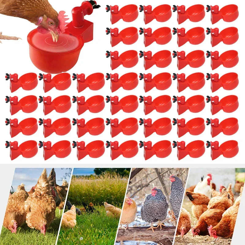 5-50PCS Chicken Drinking Cup Automatic Drinker Chicken Feeder Waterer Drinking Bowl Water Feeder for Chicks Duck Goose Quail