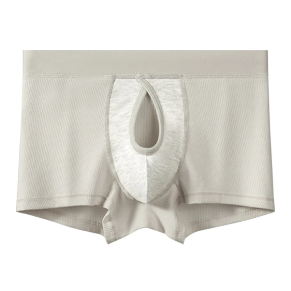 

Daily Use Sports Activities Cotton Underwear 50 Cotton 50 Spandex Brand New Condition Classic Style Comfortable Fit