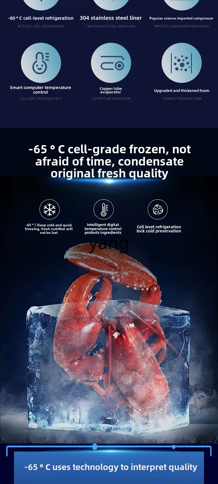 Lh minus 60 graden -70 graden tonijn zeevruchten cryogene snel ingevroren -