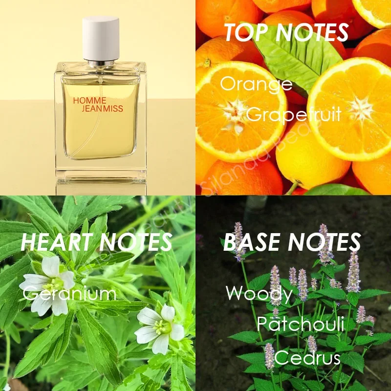 50ml Perfumy kolońskie dla mężczyzn Świeże Energetyczne Pikantne Fougere Ziemia Woody Tones Perfumy Długotrwałe Parfum Cologne Randki Dezodoranty