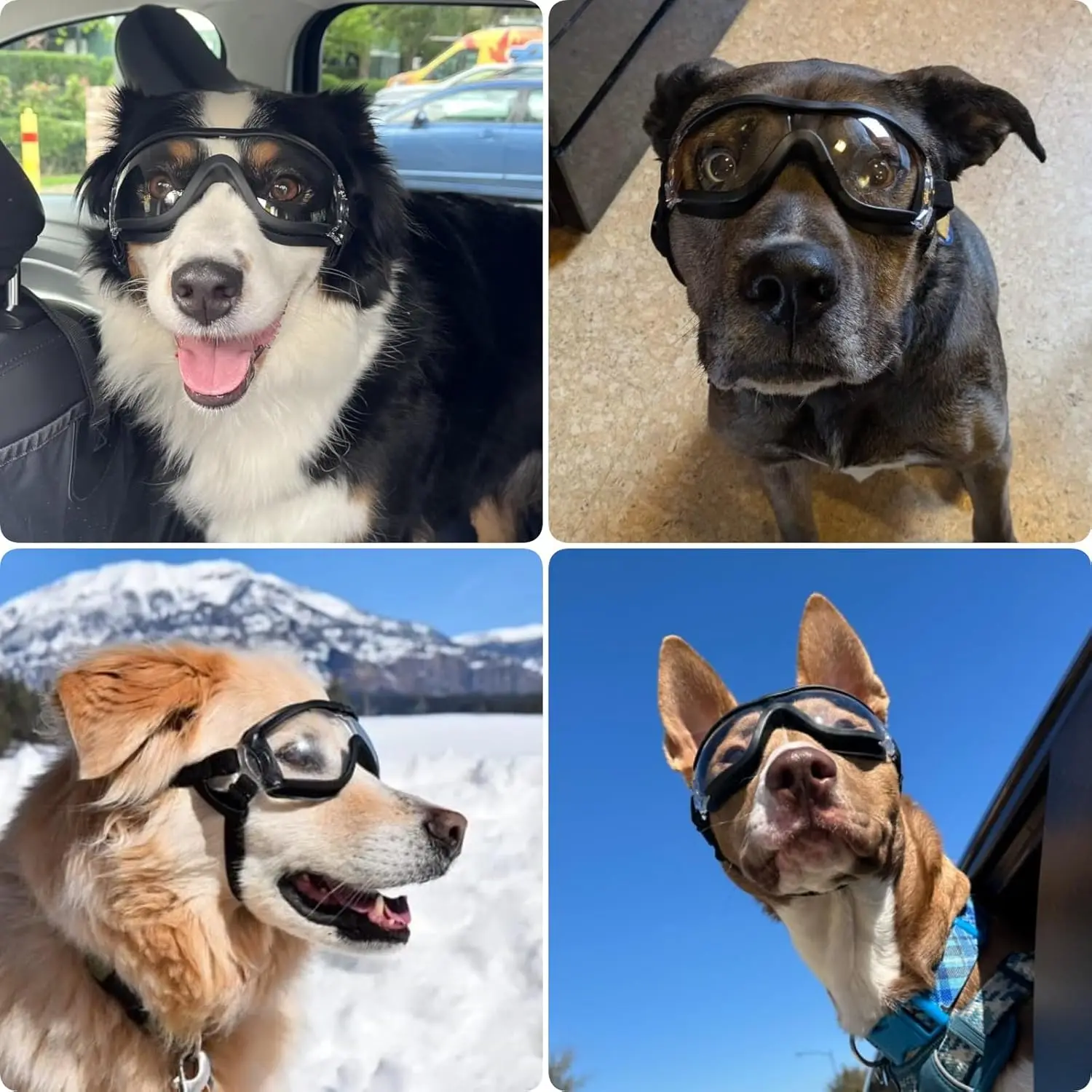 Adjustable Pet Goggles for Dogs Transparent Style Windproof Snowproof UV-blocking Large Eye Wear Protection Glasses dog supplies - view 6