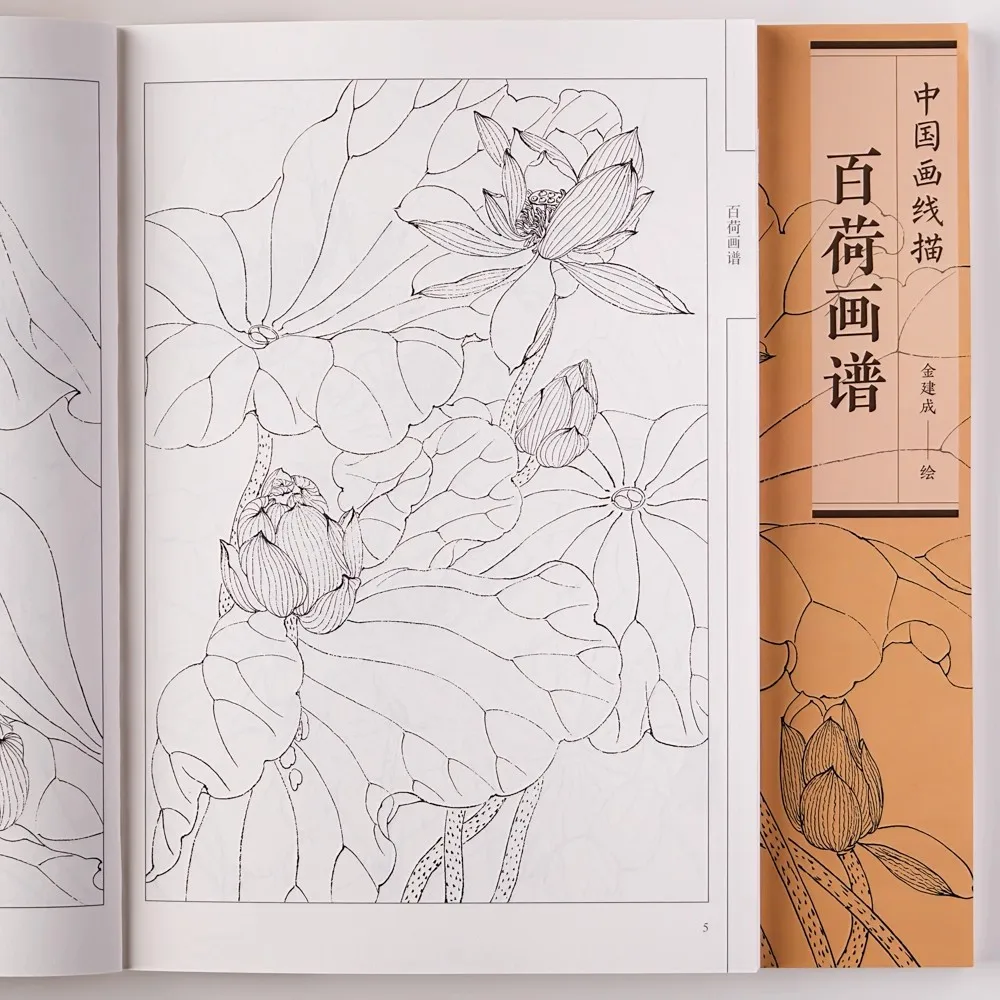 

Baihe Painting Manual Coloring Book Easy and Simple Designs for Relaxation Chinese Line Drawing