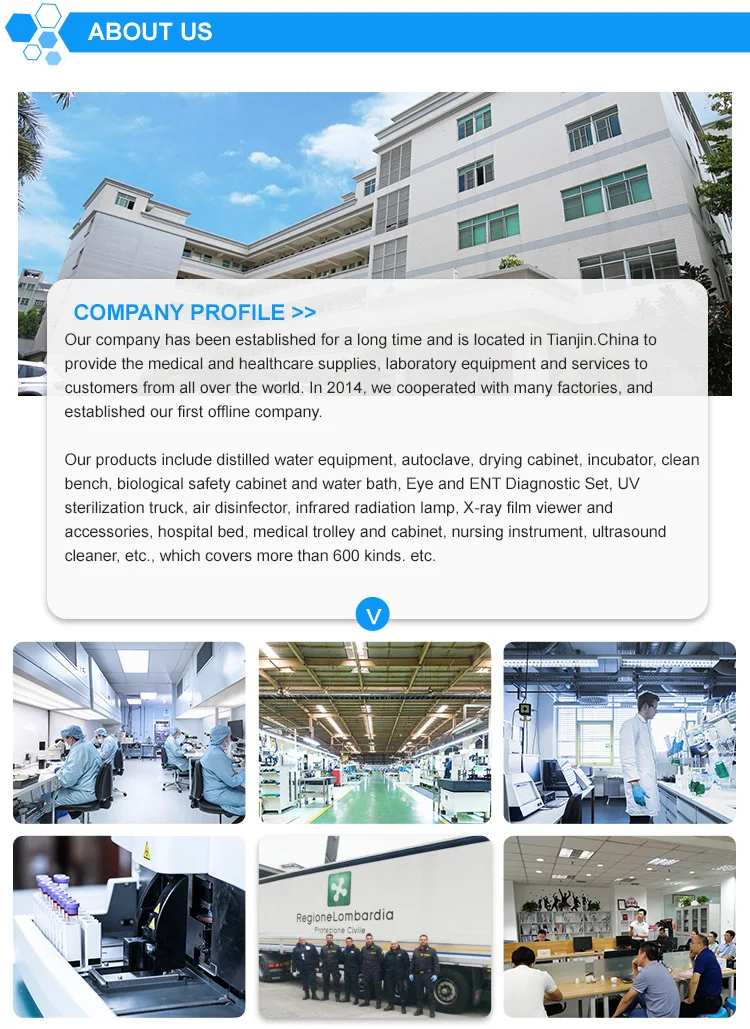 Convenient Blast Drying Oven For Fast And Safe Food Laboratory Heating Electric Heating Biological Drying Equipment