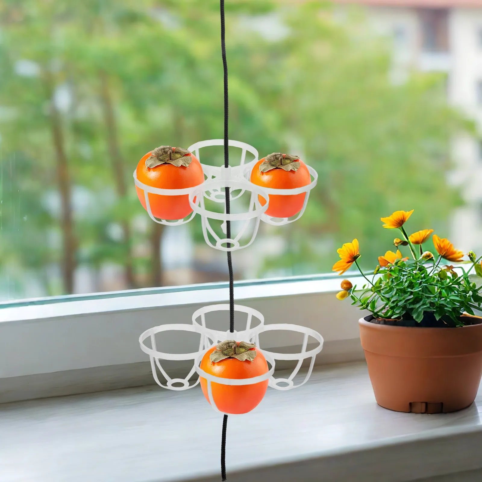 5 piezas de estante colgante de plástico para secar caquis, montaje en pared, ahorro de espacio, secador/deshidratador vertical multicapa para frutas y verduras