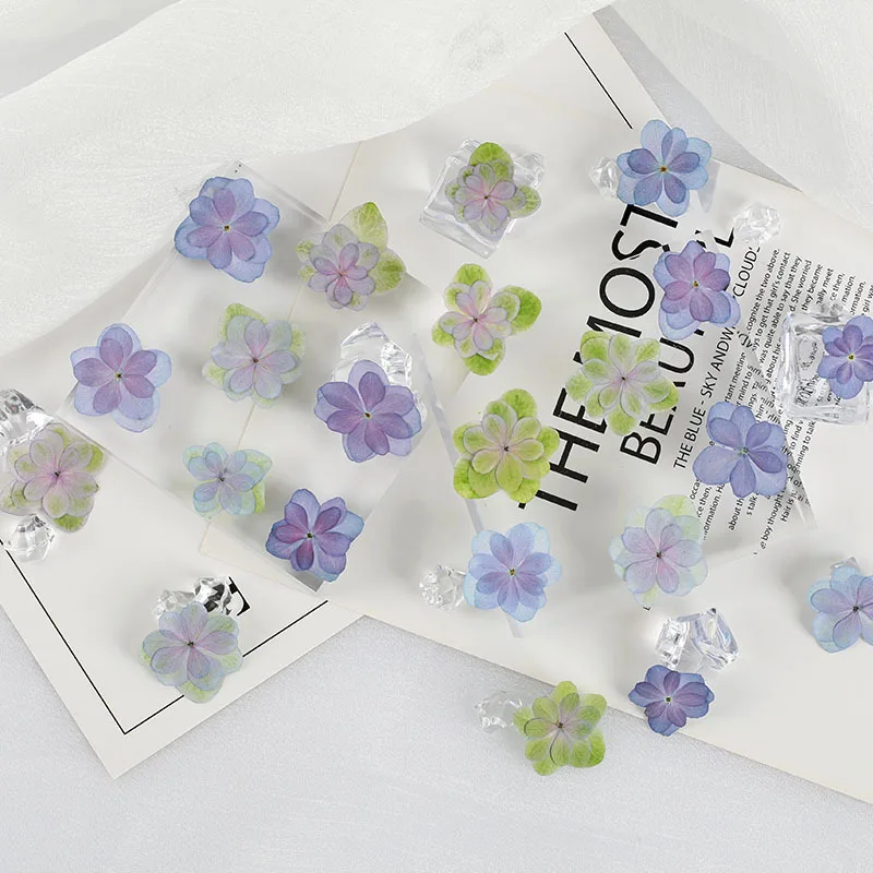 25pcs/2-3cm Pressed Delphinium Petals Real Flower Petals DIY Cell Phone Case Nail Aromatherapy Photo Frame Material Face Makeup