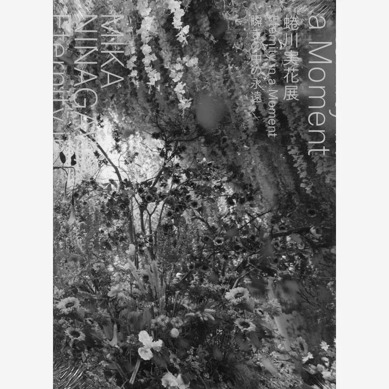 

Mika Ninagawa Exhibition Mika Ninagawa Fine Arts Publishing House 9784568105810 Book